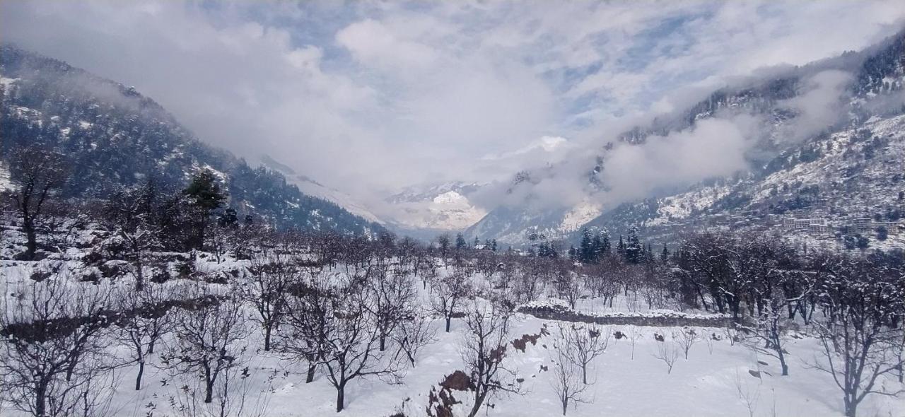 Farm Hostel And Camps Manali  Exterior photo