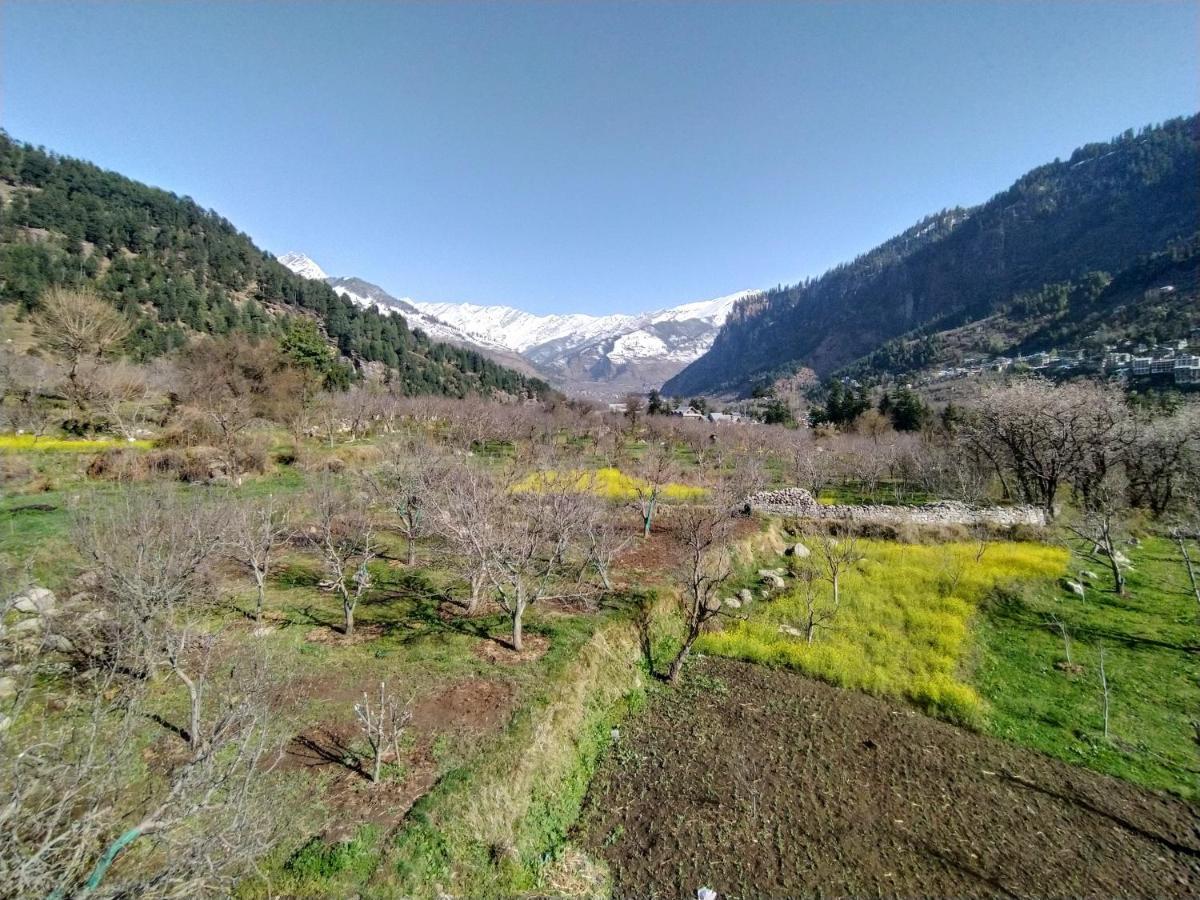 Farm Hostel And Camps Manali  Exterior photo